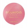BOURJOIS BLUSH PASTEL JOUES 054