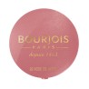 BOURJOIS BLUSH PASTEL JOUES 095