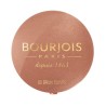 BOURJOIS ROZ PASTEL JOUES 003
